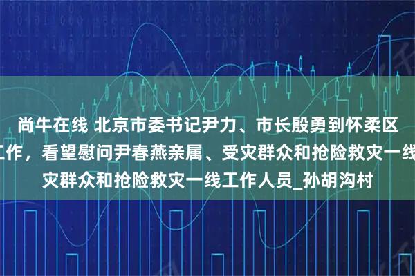 尚牛在线 北京市委书记尹力、市长殷勇到怀柔区检查灾后恢复重建工作，看望慰问尹春燕亲属、受灾群众和抢险救灾一线工作人员_孙胡沟村