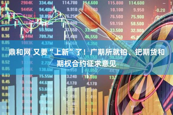 鼎和网 又要“上新”了！广期所就铂、钯期货和期权合约征求意见
