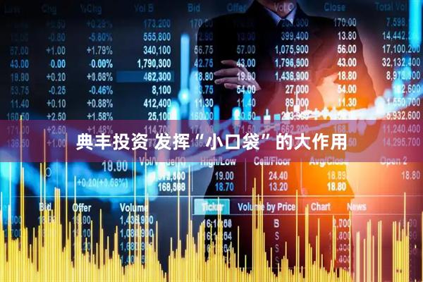典丰投资 发挥“小口袋”的大作用
