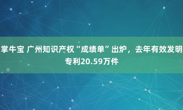 掌牛宝 广州知识产权“成绩单”出炉，去年有效发明专利20.59万件