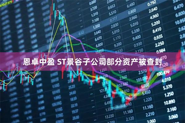 恩卓中盈 ST景谷子公司部分资产被查封